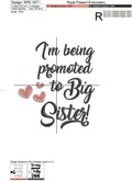 I'm being promoted to big sister Inscriptions for machine embroidery - 2 sizes