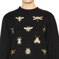 Insects Set