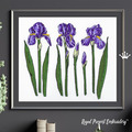 Purple Irises Flowers Set - 3 sizes