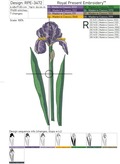 Purple Irises Flowers Set - 3 sizes