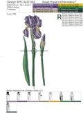 Purple Irises Flowers Set - 3 sizes