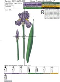 Purple Irises Flowers Set - 3 sizes