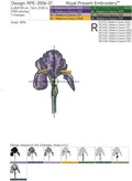 Irises Flowers Set - 5 sizes