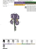 Irises Flowers Set - 5 sizes