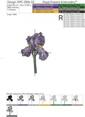 Irises Flowers Set - 5 sizes