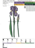 Irises Large Set - 3 Sizes