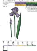 Irises Large Set - 3 Sizes