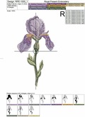 Purple Irises Set