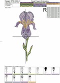 Purple Irises Set
