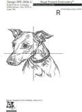 Italian Greyhound Outline - 6 Sizes