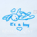 It's a Boy Machine Embroidery Design