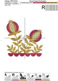 Jacobin Pomegranates bush - 6 sizes