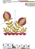 Jacobin Pomegranates bush - 6 sizes