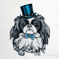 Japanese Chin Boy - 4 sizes