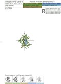 Juniper branches with berries set - 6 in 1