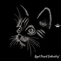 Kitten in the Moonlight - 4 sizes