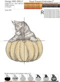 Kitten on a pumpkin - 3 sizes