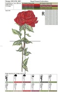 Large Red Rose - 3 sizes