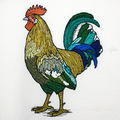 Large Rooster Machine Embroidery Design - 5 sizes