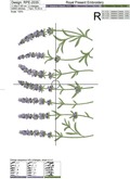 Lavender border - 6 sizes