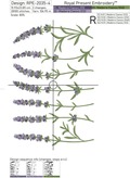 Lavender border - 6 sizes