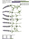 Lavender border - 6 sizes