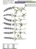 Lavender border - 6 sizes