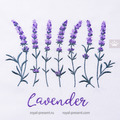 Lavender flowers with the inscription Set