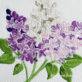 Lilac Blossom Elegance - 2 sizes
