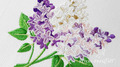 Lilac Blossom Elegance - 2 sizes