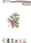 Lingonberry Botanical Machine Embroidery Designs - 3 sizes