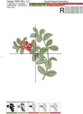 Lingonberry berries Machine Embroidery Designs set - 3 sizes