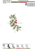 Lingonberry berries Machine Embroidery Designs set - 3 sizes