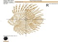 Lion Fish Machine Embroidery Design - 6 sizes