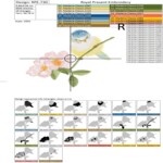 Long stitch Small Titmouse