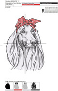 Afghan Hound dog