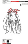 Afghan Hound dog