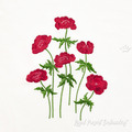 Machine Embroidery Design Anemones - 4 sizes