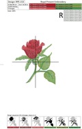 Small beautiful rose