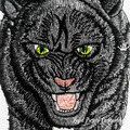 Crouching Black panther Machine Embroidery Design - 4 sizes