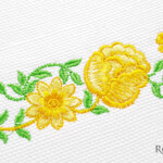 Border of yellow roses