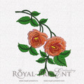 Hanging branch of roses - 3 sizes