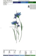 Cornflowers in 2 sizes