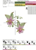 Endless orchids