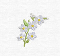 Tiny Forget-me-nots Machine Embroidery Design