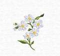 Tiny Forget-me-nots Twig Machine Embroidery Design