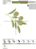 Mediterranean Green Olives Machine Embroidery Design - 2 sizes