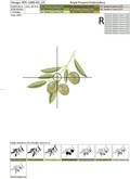 Mediterranean Green Olives Machine Embroidery Design - 2 sizes