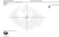 Lace Swan Machine Embroidery Design - 2 sizes