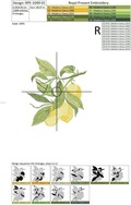 Summer lemon branch machine embroidery design - 2 sizes